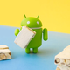 Image: Google